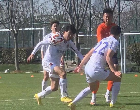 免费一级成人免费观看