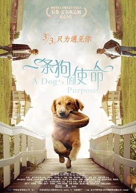 色婷婷久久综合中文久久一本