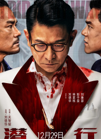 a集毛片