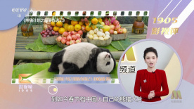 普吉岛天堂客栈